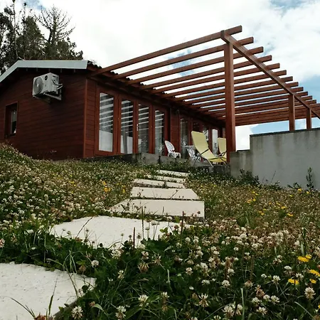 Adega Da Quinta- Casa Do Camolas 別荘